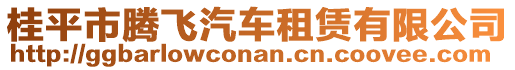 桂平市騰飛汽車租賃有限公司