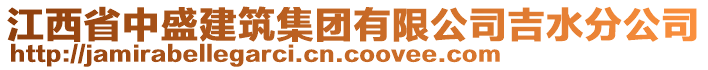 江西省中盛建筑集團(tuán)有限公司吉水分公司