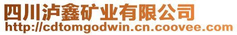 四川瀘鑫礦業(yè)有限公司