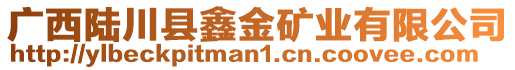 廣西陸川縣鑫金礦業(yè)有限公司