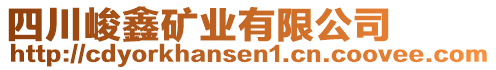 四川峻鑫礦業(yè)有限公司