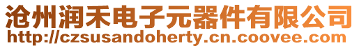 滄州潤禾電子元器件有限公司