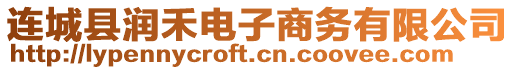 連城縣潤禾電子商務(wù)有限公司