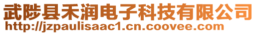 武陟縣禾潤電子科技有限公司