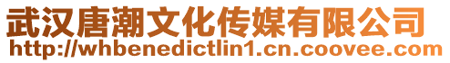 武漢唐潮文化傳媒有限公司