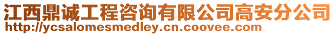 江西鼎誠工程咨詢有限公司高安分公司