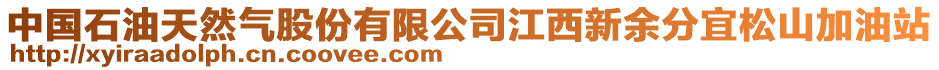 中國(guó)石油天然氣股份有限公司江西新余分宜松山加油站