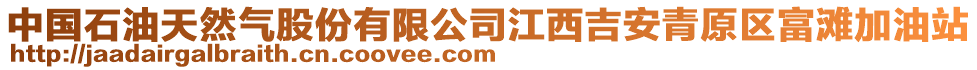 中國(guó)石油天然氣股份有限公司江西吉安青原區(qū)富灘加油站