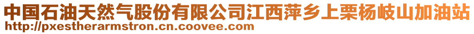 中國(guó)石油天然氣股份有限公司江西萍鄉(xiāng)上栗楊岐山加油站