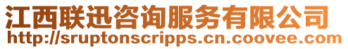 江西聯迅咨詢服務有限公司