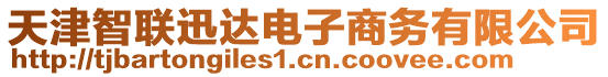 天津智联迅达电子商务有限公司