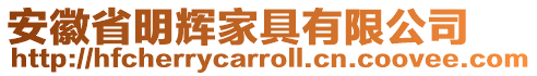 安徽省明輝家具有限公司