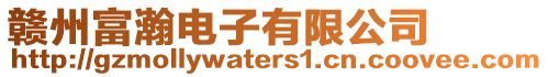 贛州富瀚電子有限公司
