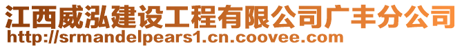 江西威泓建設(shè)工程有限公司廣豐分公司