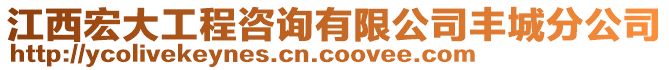 江西宏大工程咨詢有限公司豐城分公司