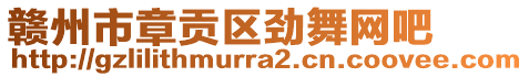 贛州市章貢區(qū)勁舞網(wǎng)吧