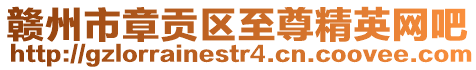 贛州市章貢區(qū)至尊精英網(wǎng)吧