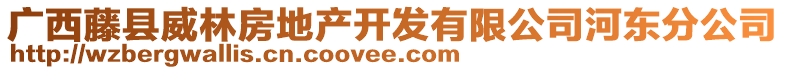 廣西藤縣威林房地產(chǎn)開(kāi)發(fā)有限公司河?xùn)|分公司