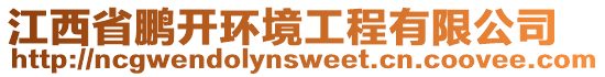 江西省鵬開環境工程有限公司