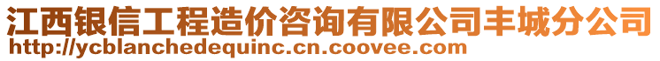 江西銀信工程造價(jià)咨詢有限公司豐城分公司