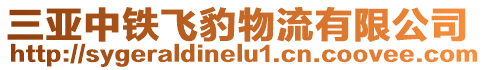 三亞中鐵飛豹物流有限公司