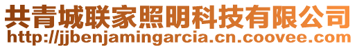 共青城聯(lián)家照明科技有限公司