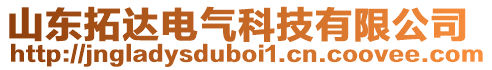 山東拓達電氣科技有限公司