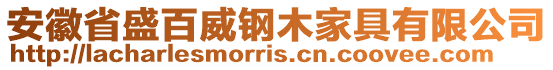 安徽省盛百威鋼木家具有限公司