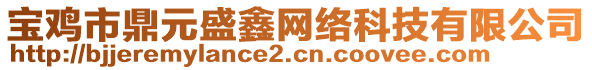 宝鸡市鼎元盛鑫网络科技有限公司