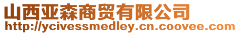 山西亞森商貿有限公司
