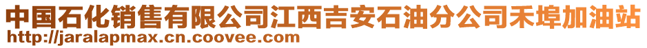 中國石化銷售有限公司江西吉安石油分公司禾埠加油站