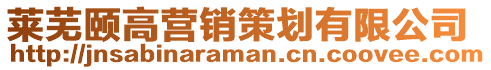 萊蕪頤高營銷策劃有限公司