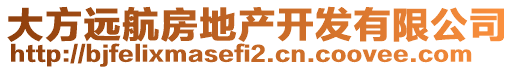 大方远航房地产开发有限公司