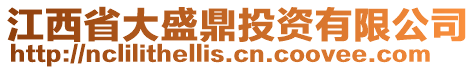 江西省大盛鼎投資有限公司