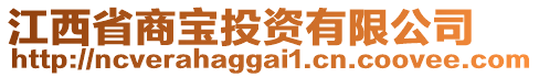 江西省商宝投资有限公司