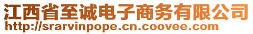 江西省至誠(chéng)電子商務(wù)有限公司