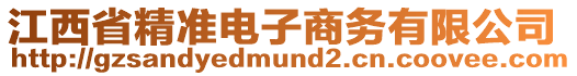 江西省精準電子商務有限公司