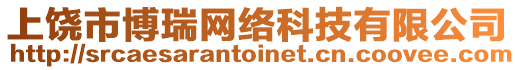 上饒市博瑞網(wǎng)絡(luò)科技有限公司