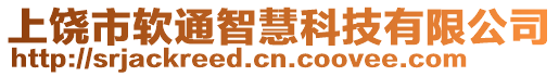 上饒市軟通智慧科技有限公司