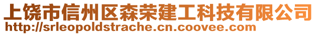 上饒市信州區(qū)森榮建工科技有限公司