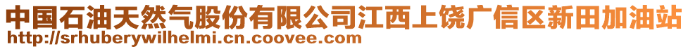 中國石油天然氣股份有限公司江西上饒廣信區(qū)新田加油站