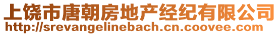 上饒市唐朝房地產經紀有限公司