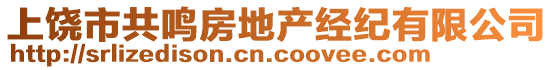 上饒市共鳴房地產(chǎn)經(jīng)紀(jì)有限公司