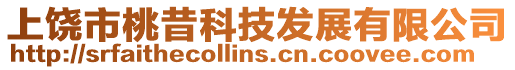 上饒市桃昔科技發展有限公司