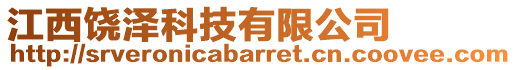 江西饒澤科技有限公司