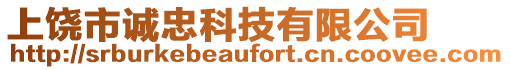 上饒市誠忠科技有限公司