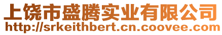 上饒市盛騰實業有限公司