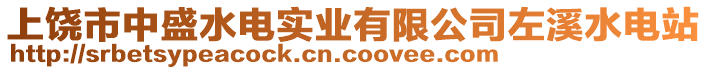 上饒市中盛水電實業(yè)有限公司左溪水電站