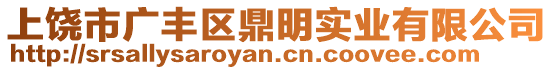 上饒市廣豐區(qū)鼎明實業(yè)有限公司