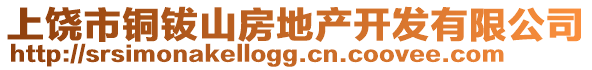 上饒市銅鈸山房地產(chǎn)開發(fā)有限公司